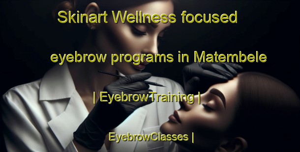 Skinart Wellness-focused eyebrow programs in Matembele | EyebrowTraining | EyebrowClasses | SkinartTraining-the Democratic Republic of the Congo